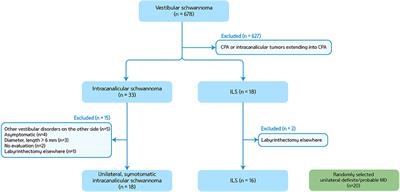 Intralabyrinthine Schwannoma: Distinct Features for Differential Diagnosis